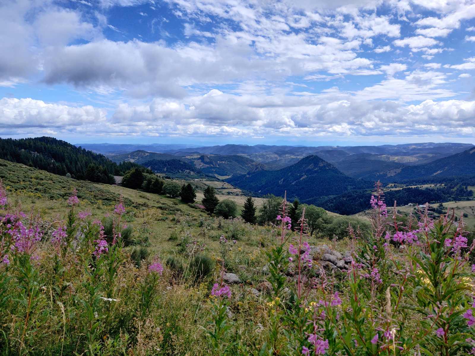 Paysage de haute loire