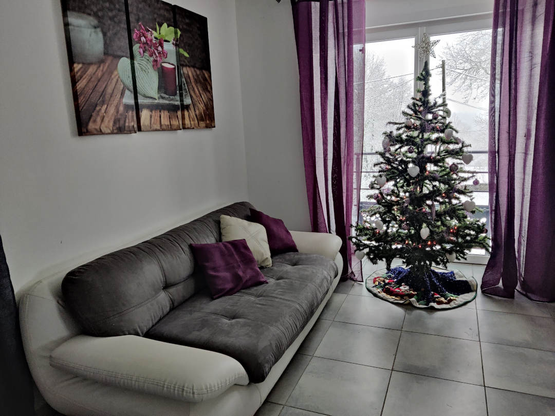 Salon de la Grange de Louis avec son sapin de noël